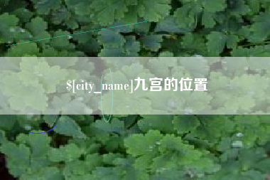 寿光九宫的位置