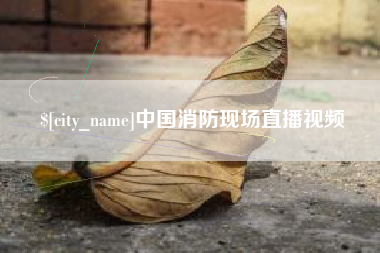 寿光中国消防现场直播视频