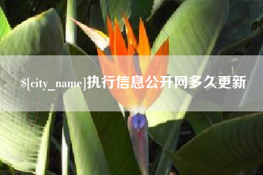 寿光执行信息公开网多久更新
