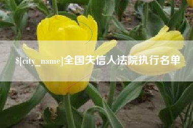 寿光全国失信人法院执行名单