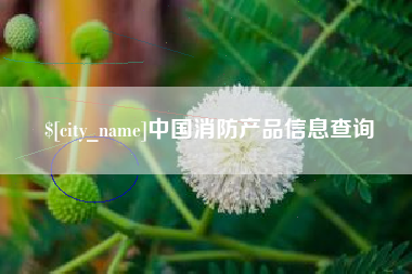 寿光中国消防产品信息查询