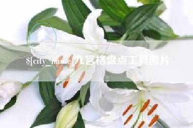 寿光九宫格盘点工具图片