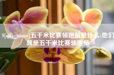 寿光五千米比赛领跑员是什么-他们就是五千米比赛领跑员
