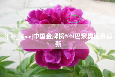寿光中国金牌榜2024巴黎奥运会最新