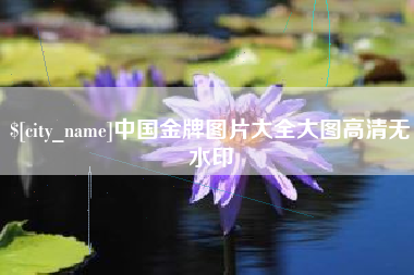 寿光中国金牌图片大全大图高清无水印