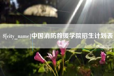 寿光中国消防救援学院招生计划表
