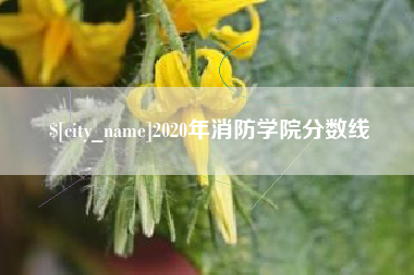 寿光2020年消防学院分数线