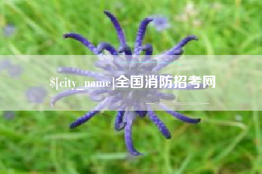 寿光全国消防招考网
