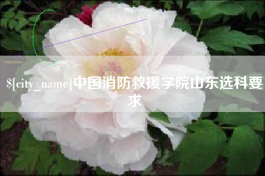 寿光中国消防救援学院山东选科要求