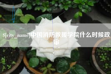 寿光中国消防救援学院什么时候政审