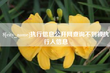 寿光执行信息公开网查询不到被执行人信息