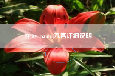 寿光九宫详细说明