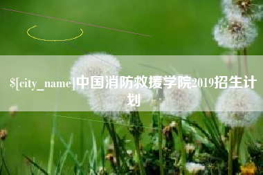 寿光中国消防救援学院2019招生计划
