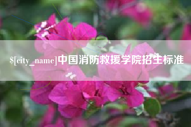 寿光中国消防救援学院招生标准