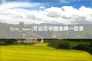 寿光冬运会中国金牌一览表