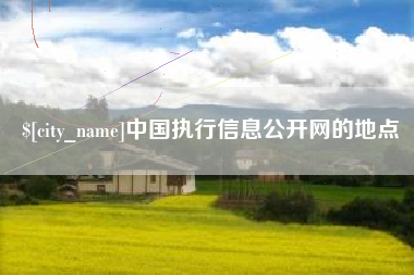寿光中国执行信息公开网的地点