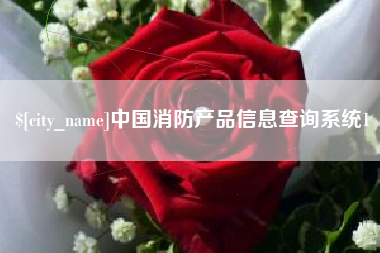 寿光中国消防产品信息查询系统1