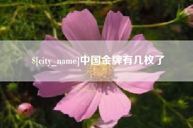 寿光中国金牌有几枚了