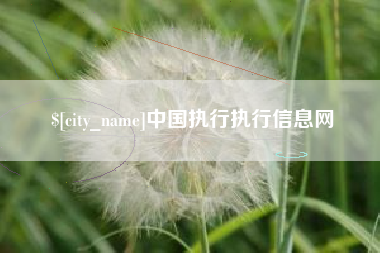 寿光中国执行执行信息网