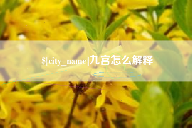 寿光九宫怎么解释