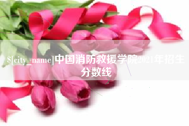 寿光中国消防救援学院2021年招生分数线