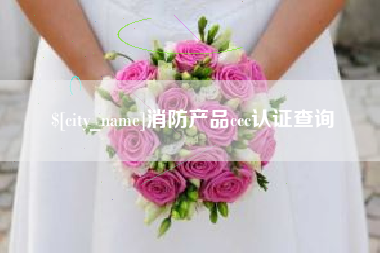 寿光消防产品ccc认证查询