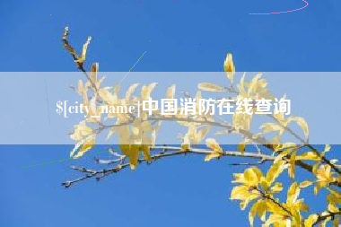 寿光中国消防在线查询