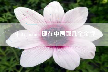 寿光现在中国哪几个金牌