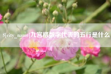 寿光九宫格数字代表的五行是什么