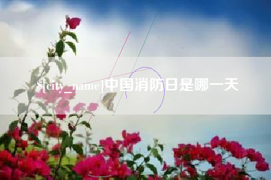 寿光中国消防日是哪一天