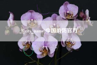 寿光中国消防官方