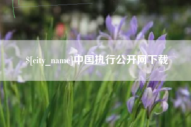 寿光中国执行公开网下载