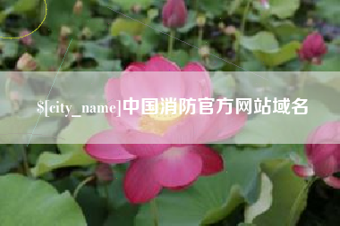 寿光中国消防官方网站域名