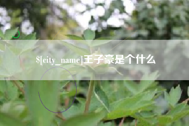 寿光王子豪是个什么