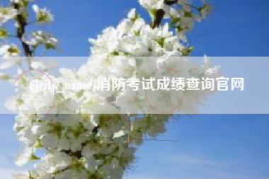寿光消防考试成绩查询官网