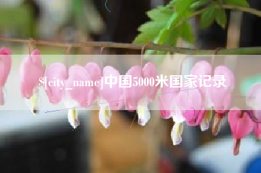 寿光中国5000米国家记录