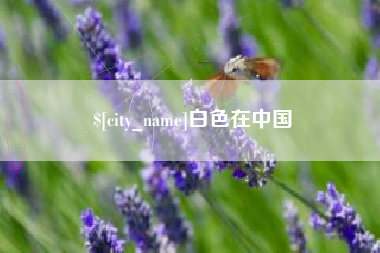 寿光白色在中国