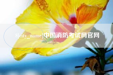 寿光中国消防考试网官网
