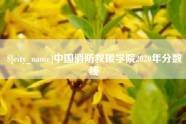 寿光中国消防救援学院2020年分数线
