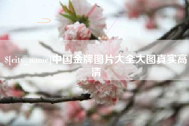 寿光中国金牌图片大全大图真实高清