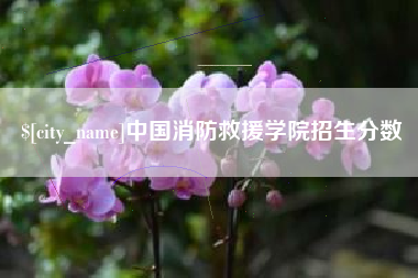 寿光中国消防救援学院招生分数
