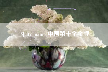 寿光中国第十个金牌