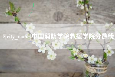 寿光中国消防学院救援学院分数线