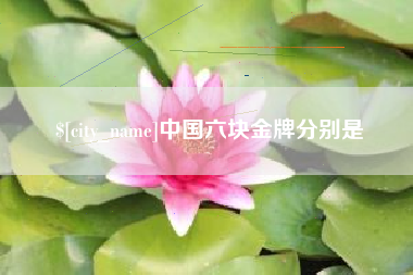 寿光中国六块金牌分别是