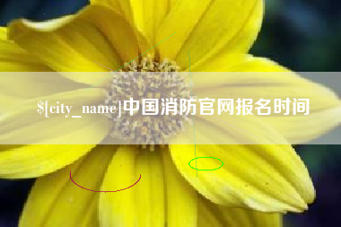 寿光中国消防官网报名时间