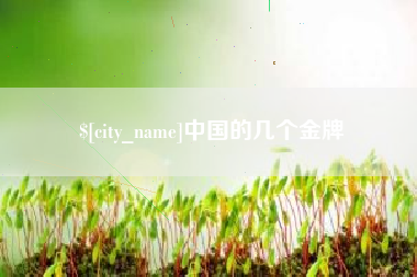 寿光中国的几个金牌