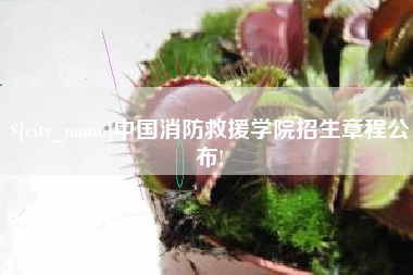 寿光中国消防救援学院招生章程公布!