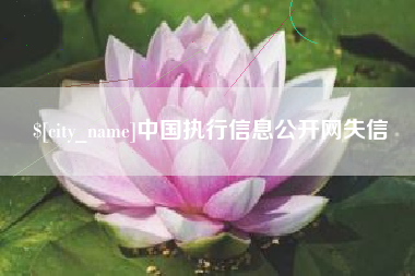 寿光中国执行信息公开网失信