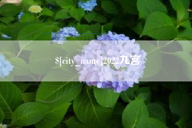 寿光2022九宫