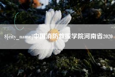 寿光中国消防救援学院河南省2020